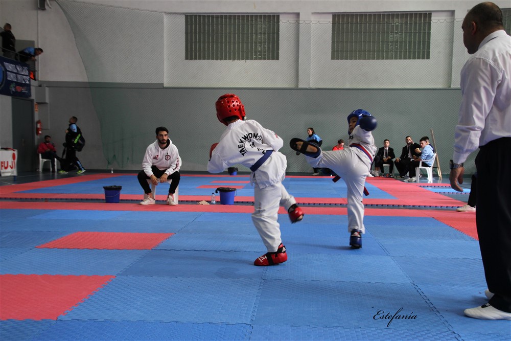 Copa Seul 2018 (518).jpg
